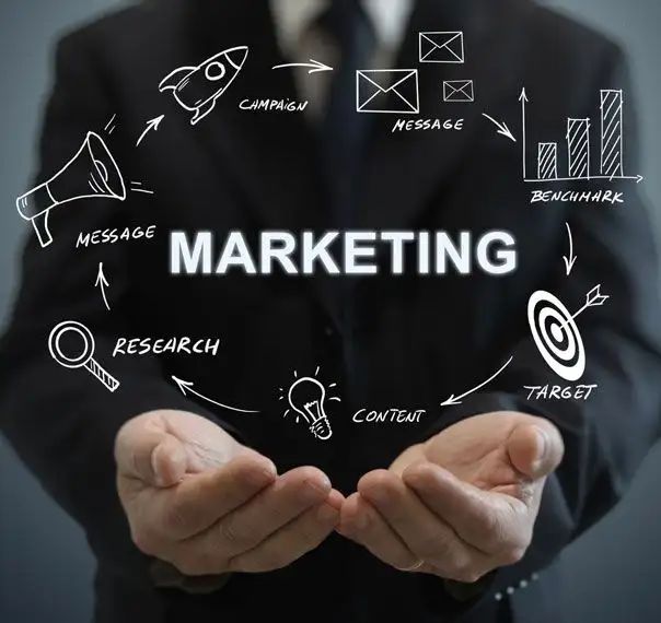 Best social media expert in calicut